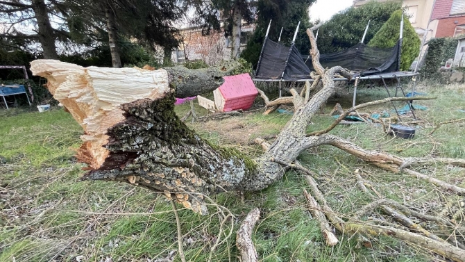 Eunice fırtınası Belçika'yı da etkisi altına aldı: Eğitime ara verildi