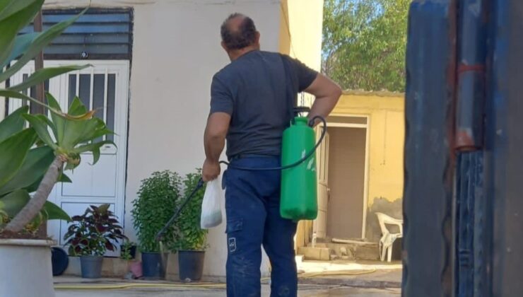 Sağlık Bakanlığı, sivrisinekle mücadelenin sürdüğünü açıkladı