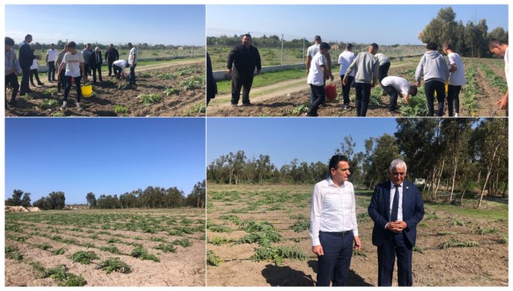 Tarım Bakanı Oğuz ‘Efeler’den Güzelyurt’a Uzanan Enginarın Yolcuğu’ projesini inceledi
