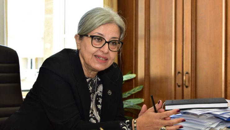 YSK Başkanı Şefik: Yerel seçimde 208 bin 236 seçmen oy kullanabilecek