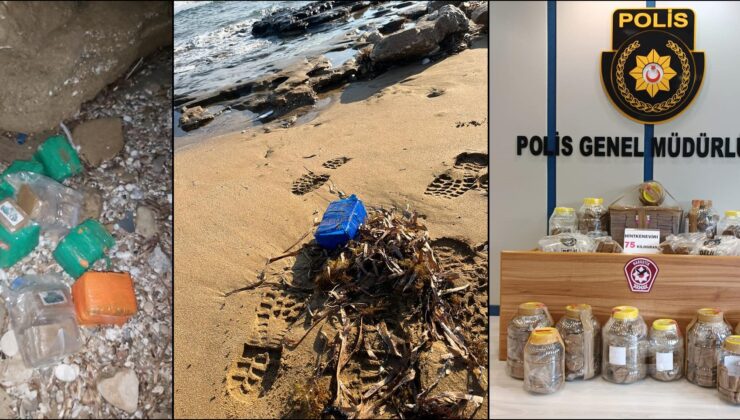 75 Kilogram hint keneviri sahile vurdu!