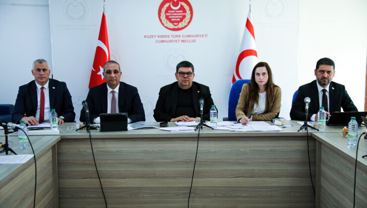 Doğal Afet ve Depremle İlgili Mevzuatın Düzenlenmesine İlişkin Ad-Hoc Komite toplandı