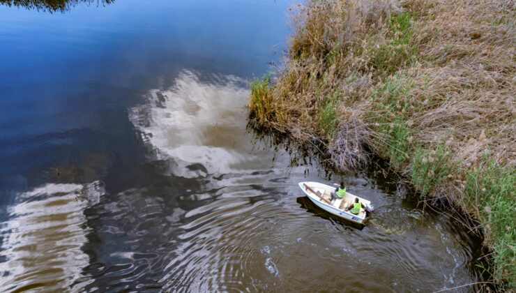 Gazimağusa Belediyesi kent genelinde sivrisinekle mücadeleyi sürdürüyor