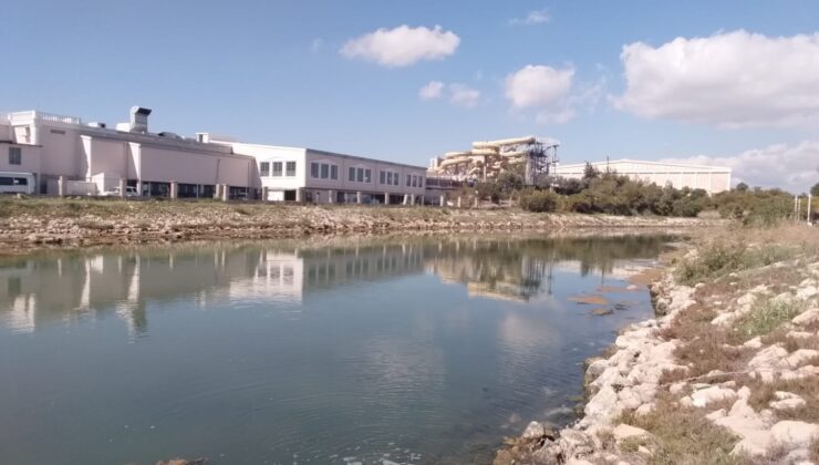 Bafra Sulak Alanı temizlendi