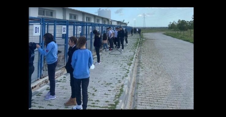 Gazimağusa TMK öğrencileri sokak hayvanları için bağış topladı