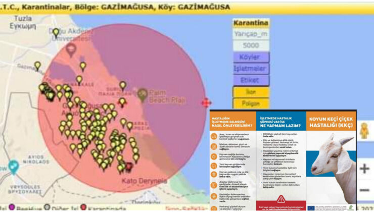 Gazimağusa, Tuzla ve Güvercinlik’de Koyun Keçi Çiçek Hastalığına karşı önlem!
