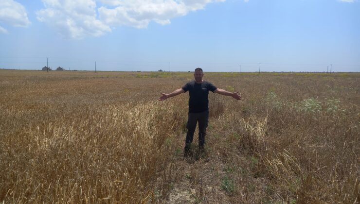 Çiftiler Birliği Başkanı Nizam: Sertifikalı tohumlardan çok daha iyi verim alıyoruz