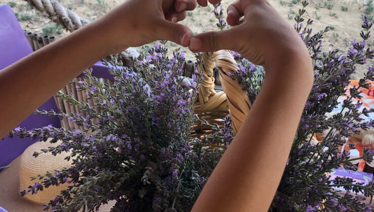 Mevlevi köyünde ‘Lavanta Bahçesi’