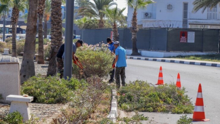 Gazimağusa Laguna bölgesinde budama ve çevre düzenlemesi yapılıyor – BRTK