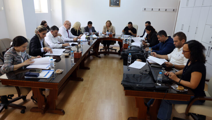 Dijital Dönüşüm ve Elektronik Devlet İdaresi Yasa Önerisi komitede ele alındı