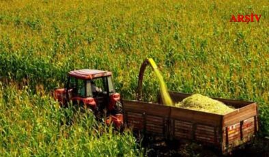 “Tohumluk Tahıl Ve İkinci Ürün Olarak Mısır Silaji Üretim Projesi” ilk hasadı yapıldı