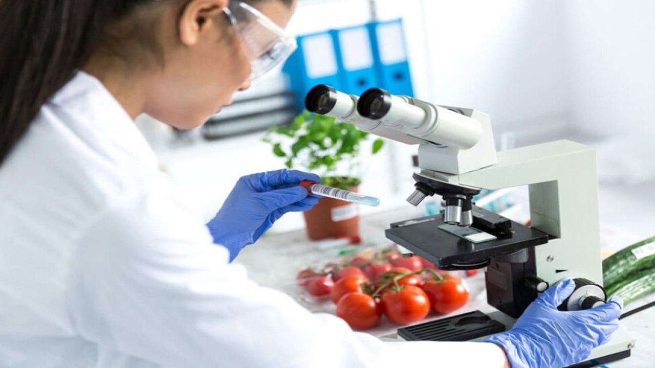 İki ithal, bir yerli üründe tavsiye dışı bitki koruma ürünü