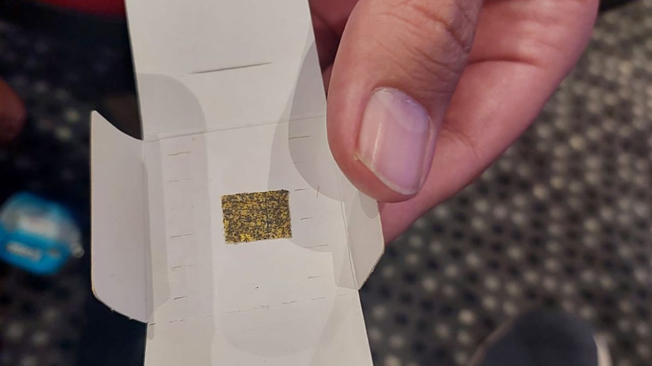 Prof. Dr. Özkan: “Faydalı böceklerle zararlı mücadelesinde başarı yüzde 50-100 arası”