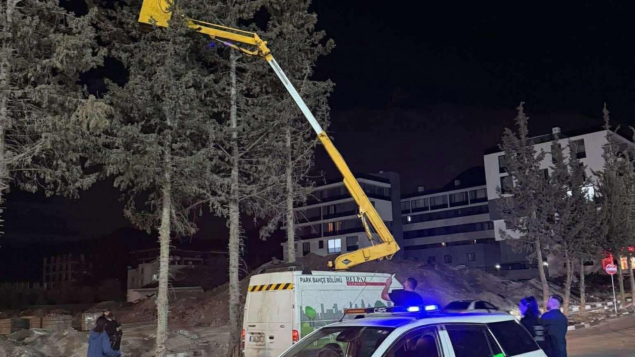 Yavru kedi için ekipler seferber oldu