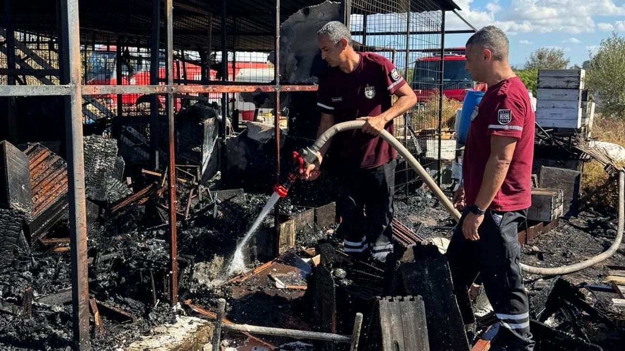 Arı kovanları yandı