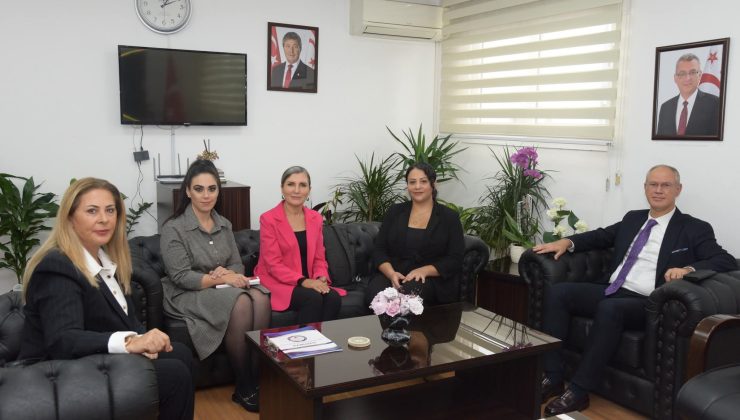 Hasipoğlu: “Kadına yönelik şiddet, ciddi bir insan hakları ihlalidir.”