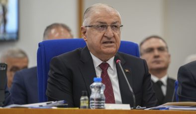 Güler: “Ada’da adil ve kalıcı çözüm için tek çıkar yol eşit uluslararası statüsünün kabulüdür”