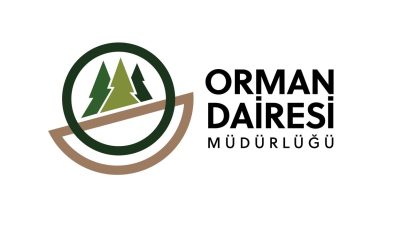 Orman Dairesi: Boğazköy’deki ağaç kesimi izinsiz yapıldı