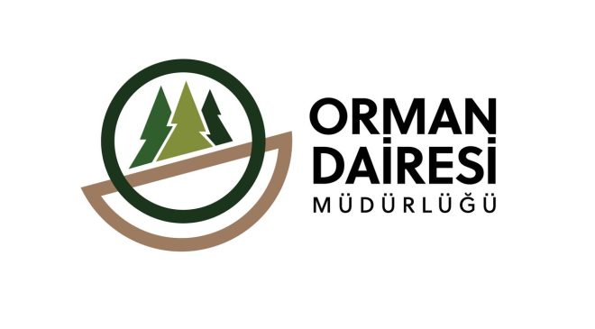 Orman Dairesi: Boğazköy’deki ağaç kesimi izinsiz yapıldı