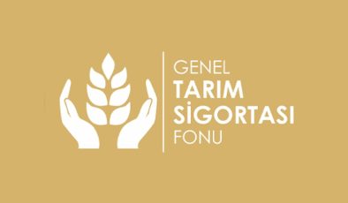 Büyükbaş hayvanlar için düşük tazminatı ödendi