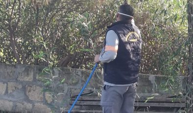 Mehmetçik Büyükkonuk Belediyesi: “Çam kese böceğine karşı mücadelemiz aralıksız sürüyor”