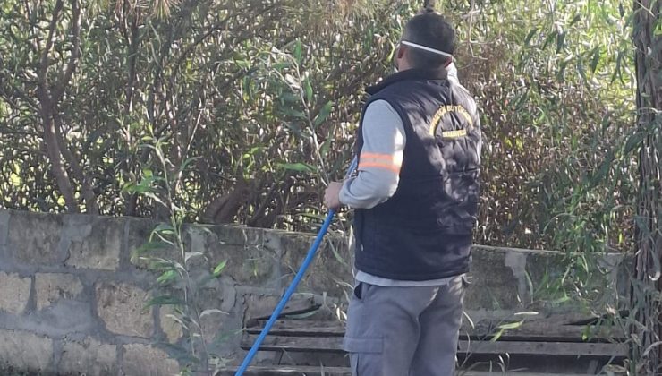 Mehmetçik Büyükkonuk Belediyesi: “Çam kese böceğine karşı mücadelemiz aralıksız sürüyor”