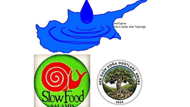 Salamis bölgesinde kuş gözlemi düzenleniyor