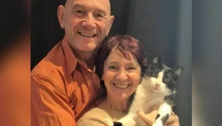 Kaybolan kedi 250 km yol yürüyerek sahibine döndü