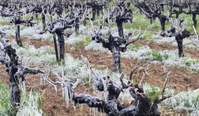 Yarın ve Çarşamba sabah saatlerinde yer yer don olayı bekleniyor