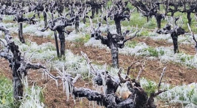 Yarın ve Çarşamba sabah saatlerinde yer yer don olayı bekleniyor