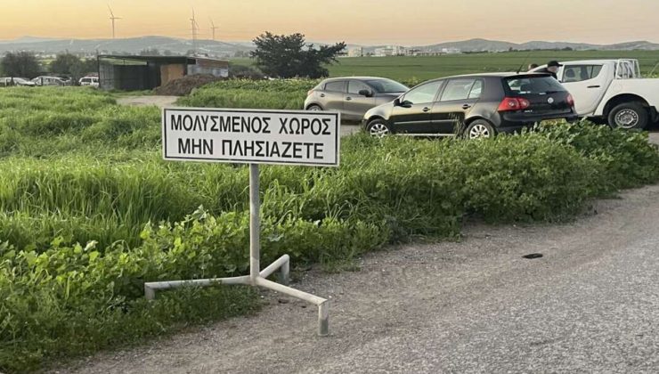 Güney Kıbrıs şap hastalığı yüzünden karantinada