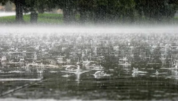 Yarın sabah don olayı, cumartesi günü ise yer yer yağmur bekleniyor