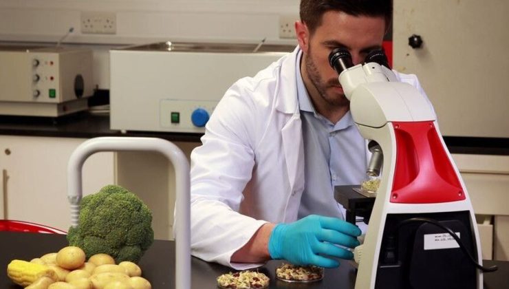 Gıda denetim sonuçları…