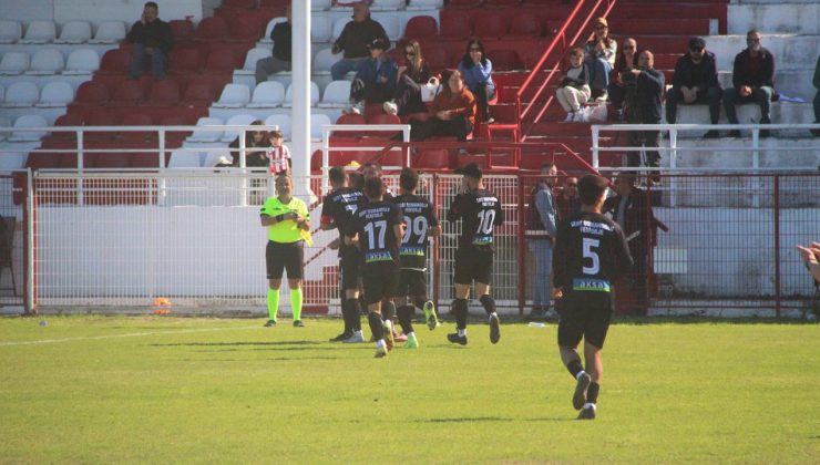 Evinin beyi Düzkaya