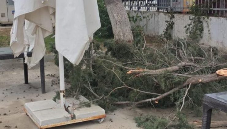 Yağmur ve fırtına hasara yol açtı