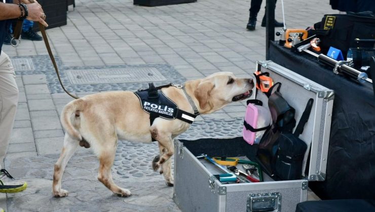 Dedektör köpek “Lokum” uyuşturucuyu buldu