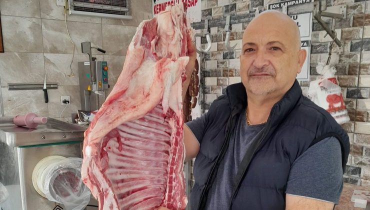 Kermeoğlu milletvekili aday adaylığını düşünüyor