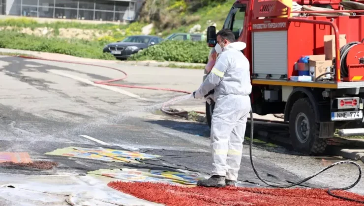 Larnaka’ya bağlı bir köyde yeni şap vakası