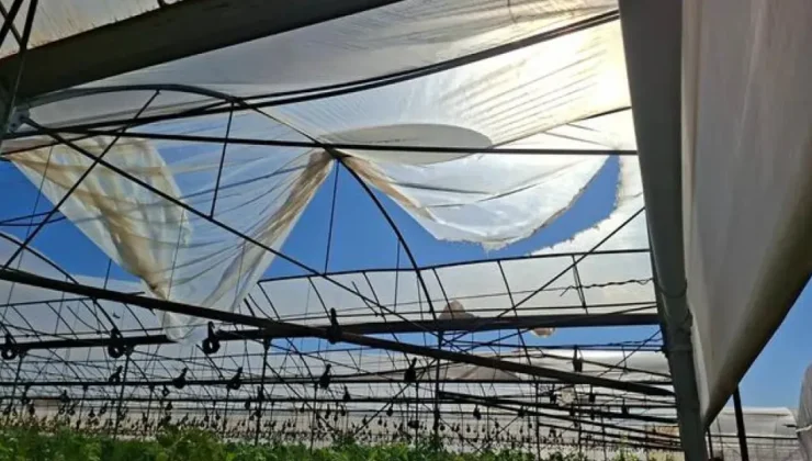 Güney Kıbrıs’ta şiddetli rüzgar Larnaka ve Mağusa’yı vurdu