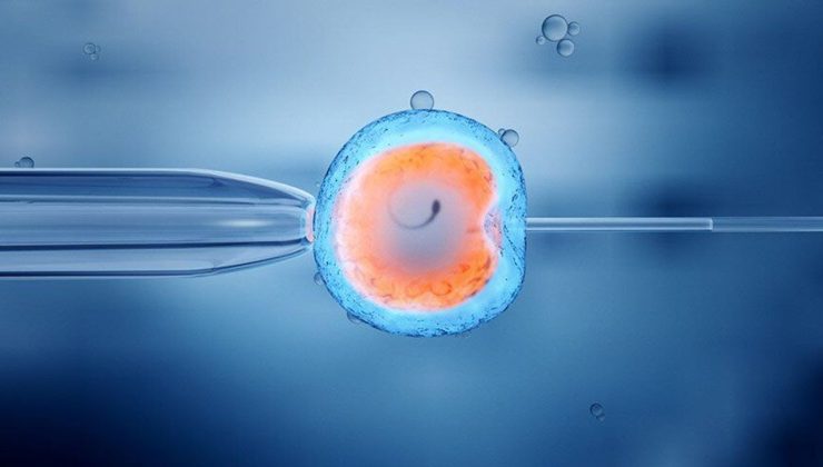 Tüp Bebek Kliniklerinde ‘Sperm Karmaşası’ Skandalı
