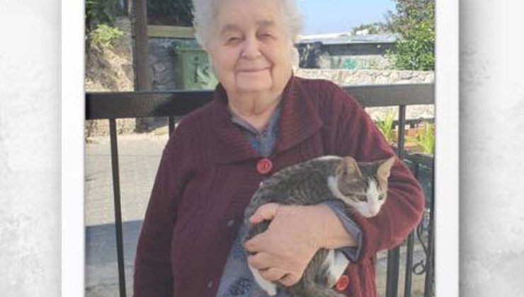 Lapta, Zerin ablasına ağlıyor