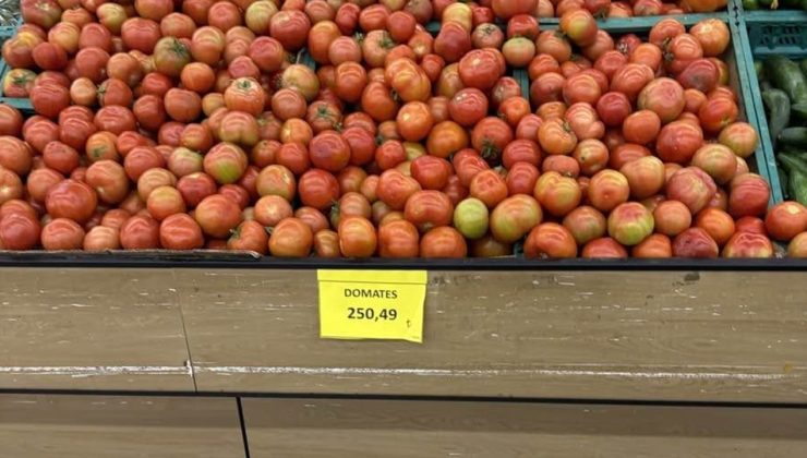 “Domates mi yoksa altın mı?”