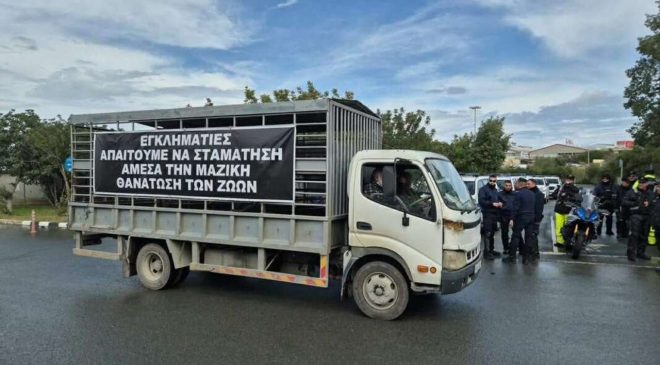 İtlaflara son verilmesini isteyen Rum hayvancılar perşembe günü eylem tehdidinde bulundu