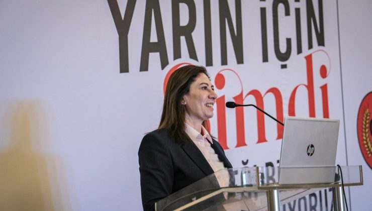 Hükümet, kendisini Meclis Başkanlığı’nın yerine koyamaz