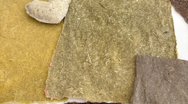 Kıbrıslı sanatçı Sanıvar, esnek formda bir kâğıt geliştirdi