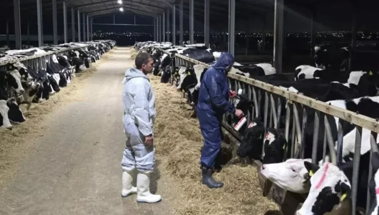 Şap hastalığı için Sağlık Teknik Komitesi’ndeki Kıbrıslı Türk üyelerle yeniden diyalog gündemde