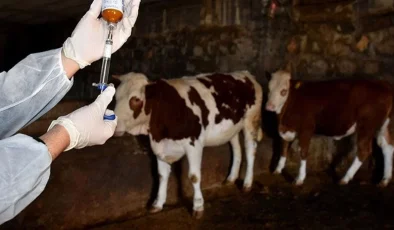 Hristodulidis: Nadir ırklarda da şap hastalığı görüldü