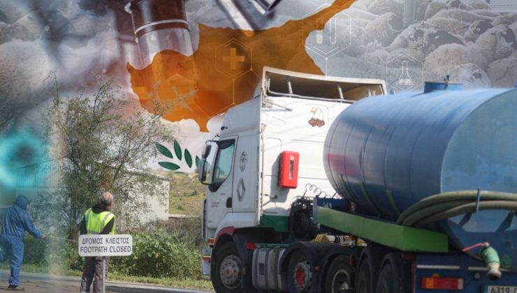 Yedi çiftlikte daha şap hastalığı tespit edildi