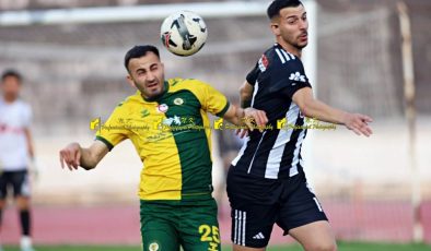 Kargalar, Kartal’ı yaraladı