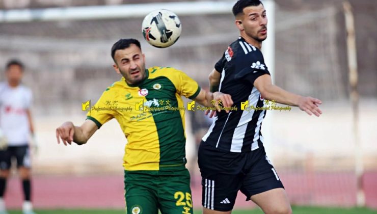 Kargalar, Kartal’ı yaraladı